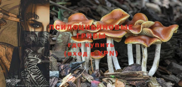прущая мука Зеленокумск