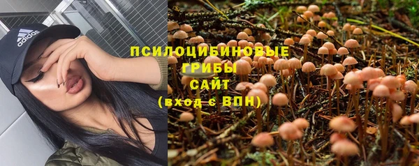 прущая мука Зеленокумск