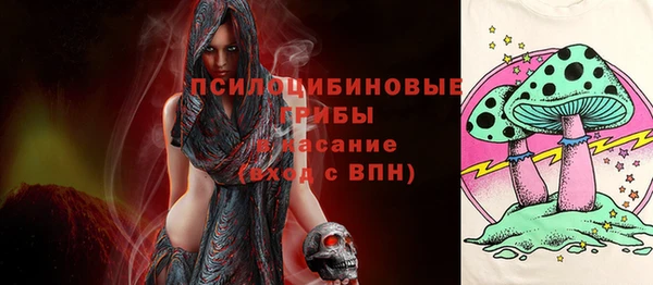 хмурый Зерноград